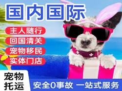 西双版纳空运国际宠物托运 【国